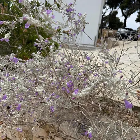 Apartmán D & A Land Luxury House *