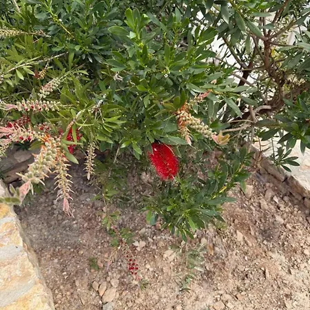 D & A Land Luxury House *